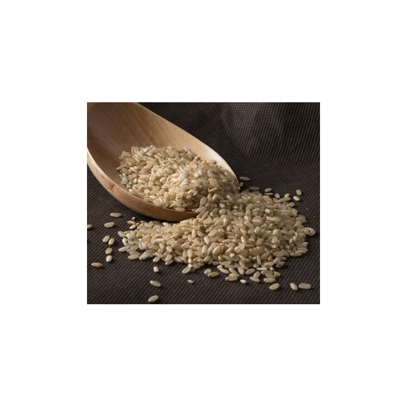 ARROZ INTEGRAL BASMATI (GRANEL)