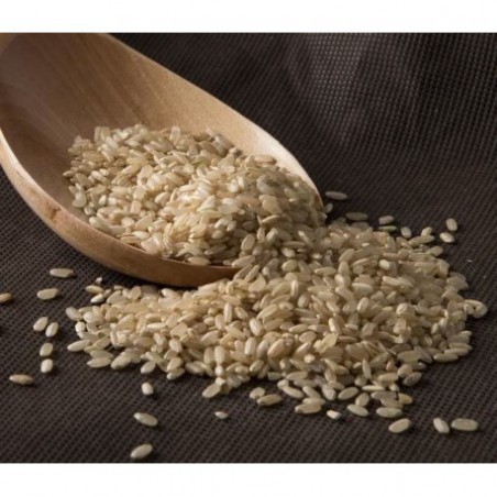 ARROZ INTEGRAL BASMATI (GRANEL)