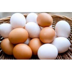 HUEVOS CAMPEROS ECO (1/2 DOCENA) cad.17.09.24