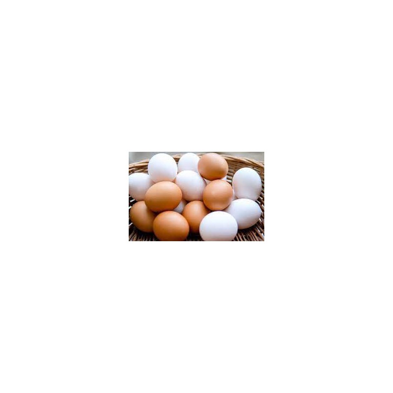 HUEVOS CAMPEROS ECO (1/2 DOCENA) cad.28.10.24