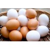 HUEVOS CAMPEROS ECO (1/2 DOCENA) cad.17.09.24